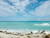 Miami, Tenger Repülőjegy Miamiba