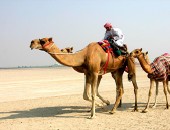 Dubai, Teve Olcsó repülőjegyet Dubai-ba